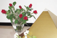 ピラミッドとバラの画像